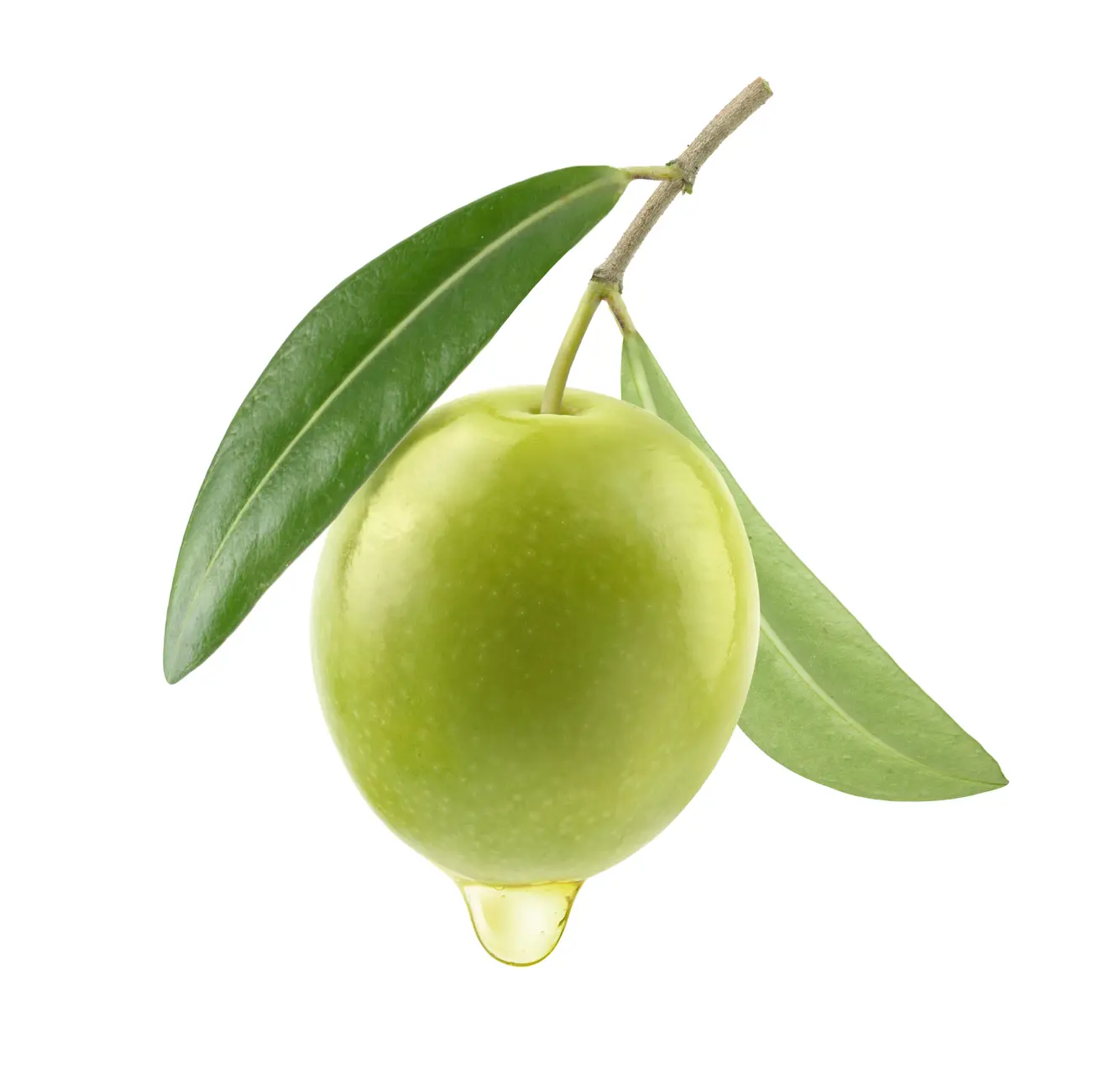shutterstock 2527976375