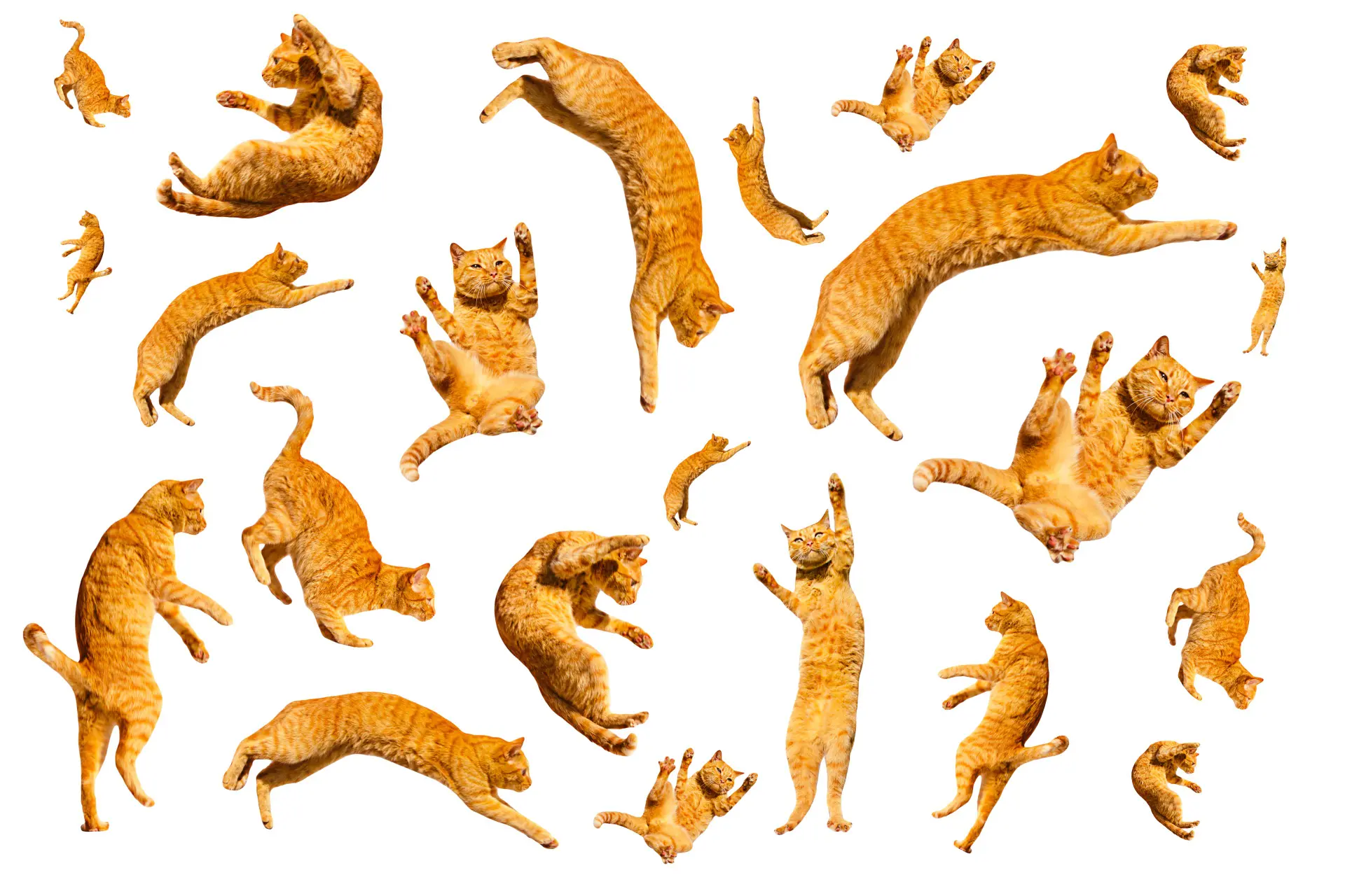 shutterstock 1170903682