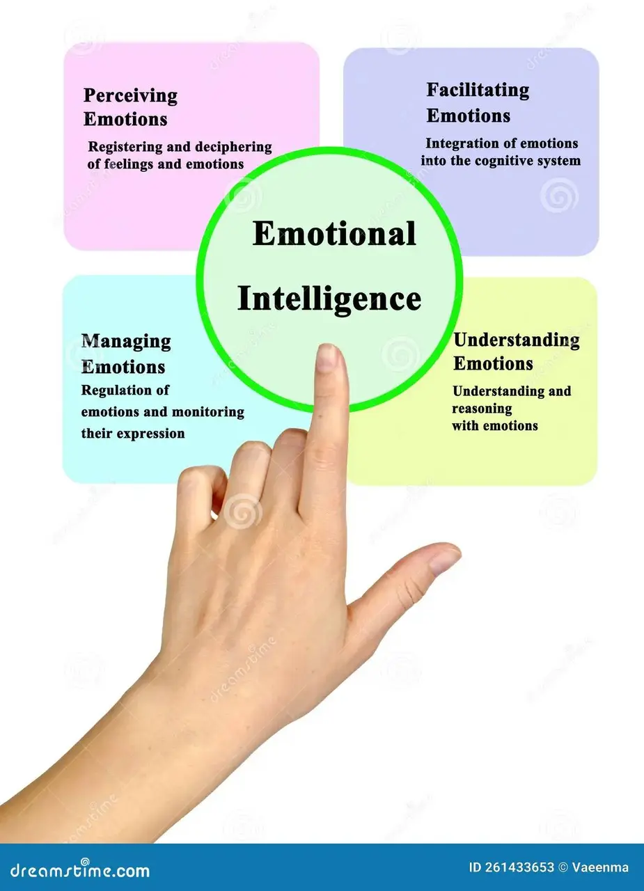 componenten-van-emotionele-intelligentie-vier-261433653