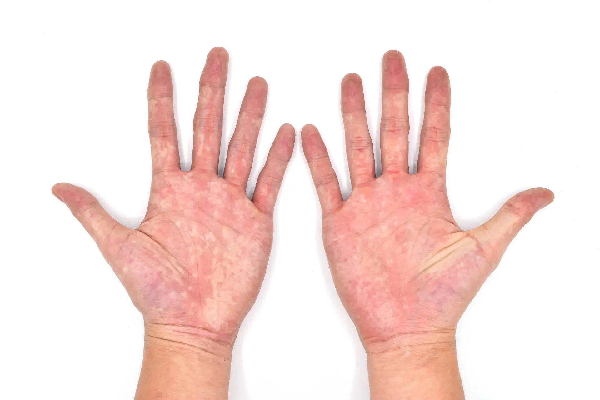 shutterstock_1653641029
