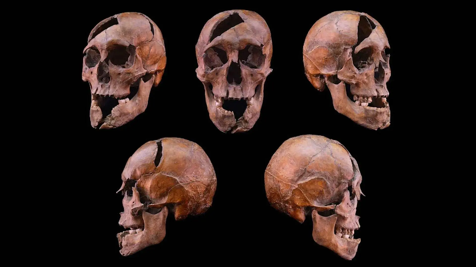 13th-century-dominican-monastery-skull