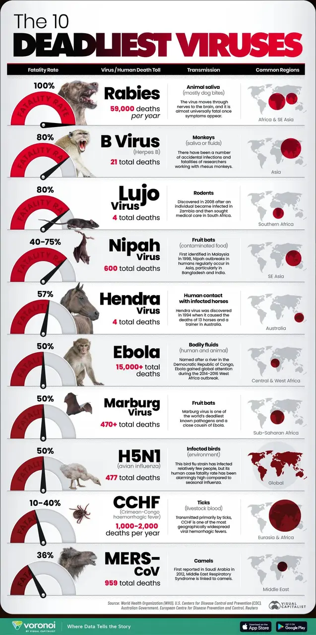 Deadliest-Viruses-Site
