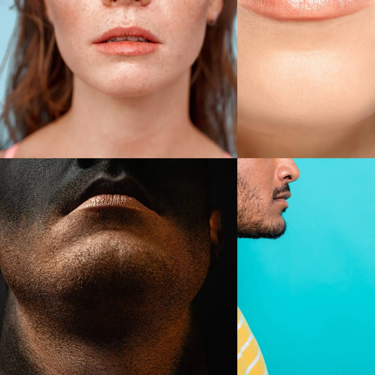gandr-collage