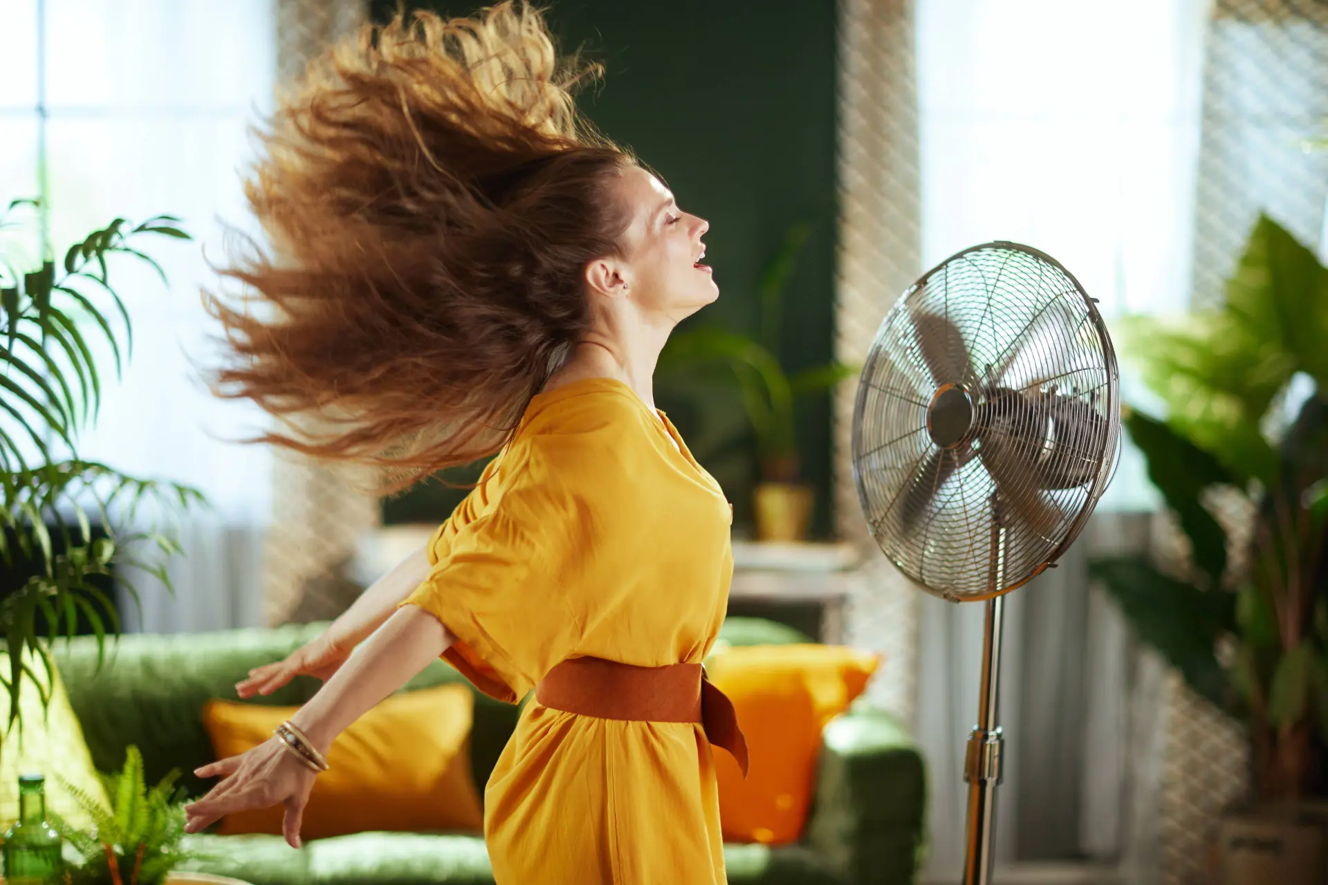 shutterstock_2645314151