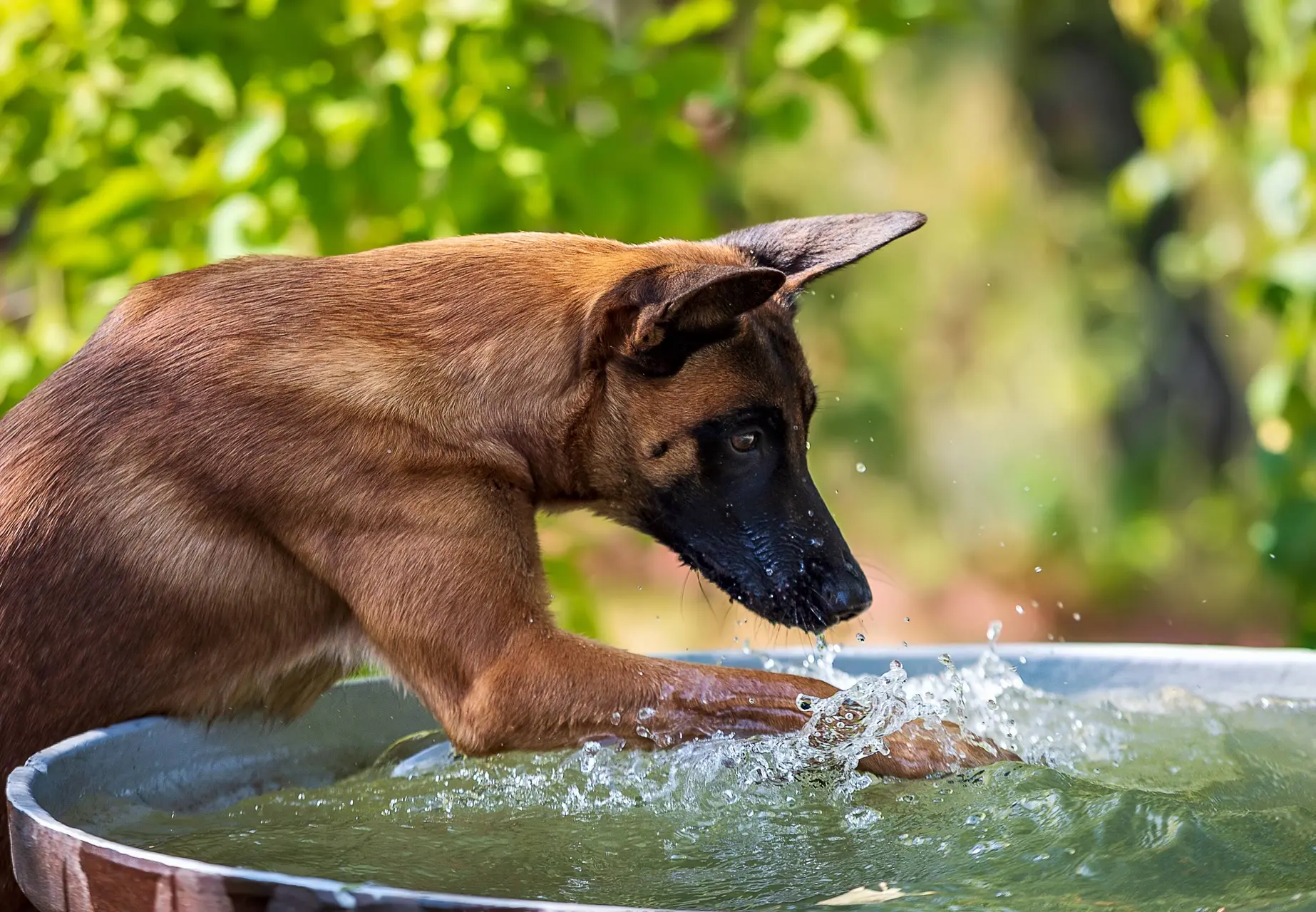 shutterstock_1638624178
