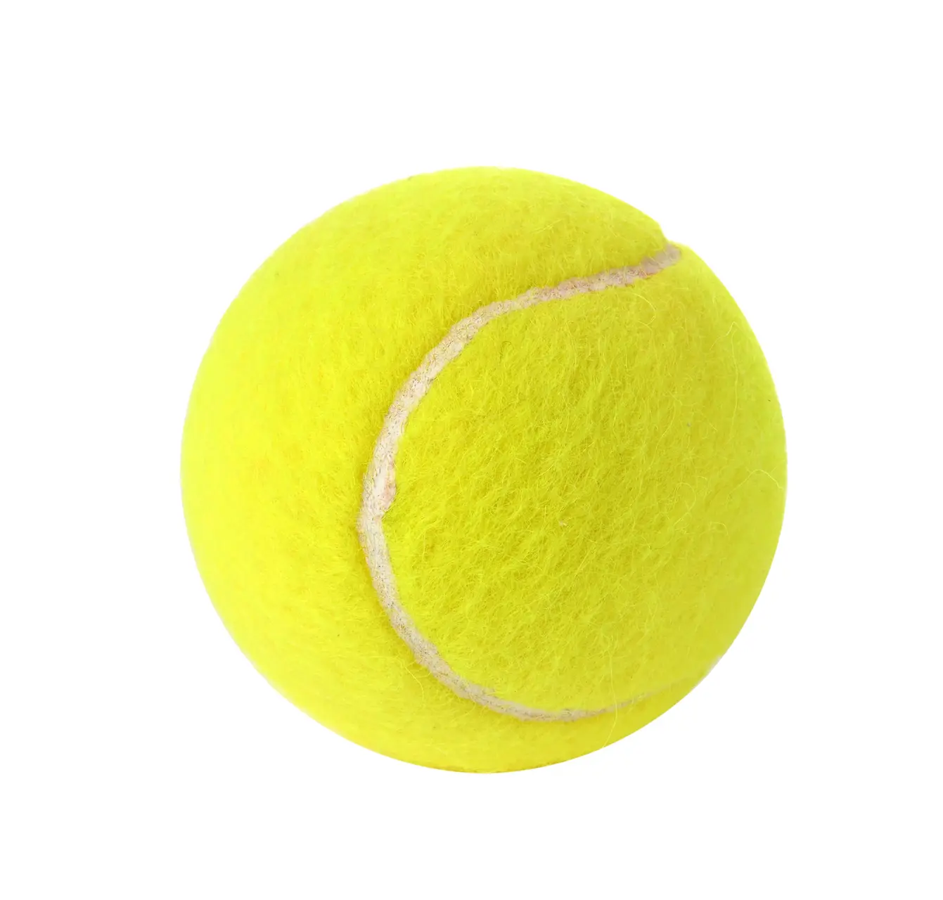 shutterstock_2664637949