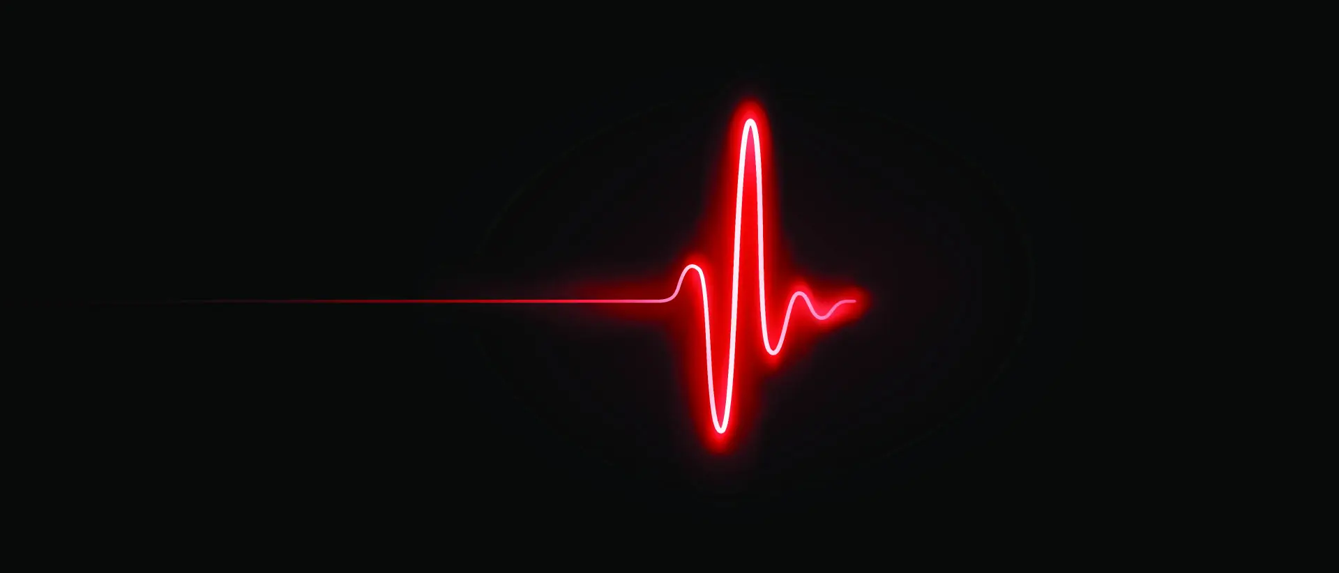 shutterstock_2732464761