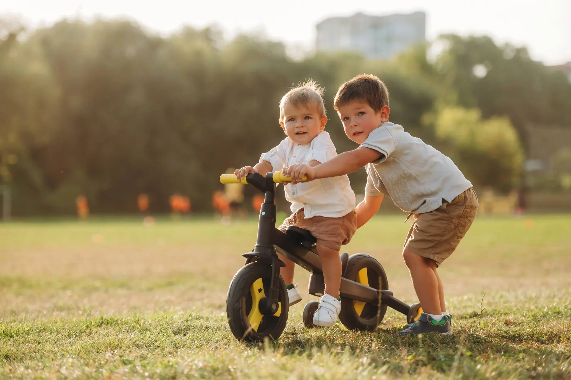 shutterstock_2737028507