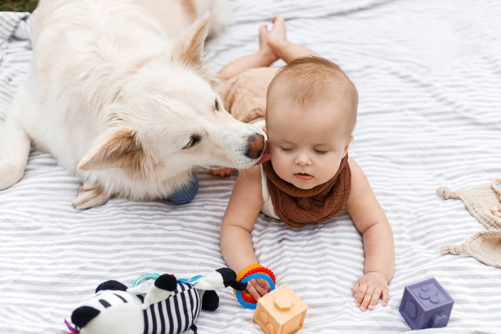 shutterstock_2759406981