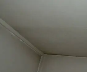7933727_orig