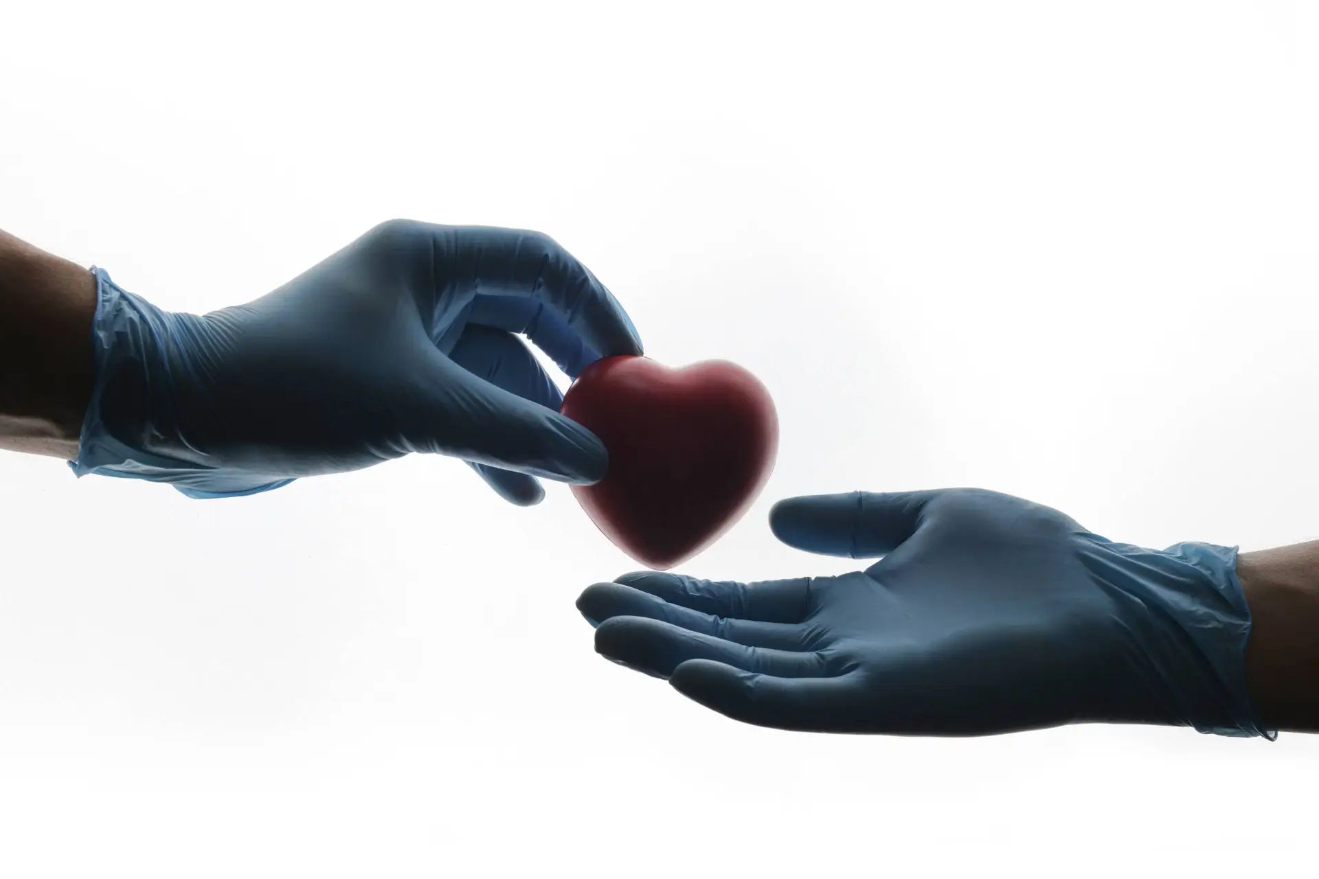 shutterstock_2638780423