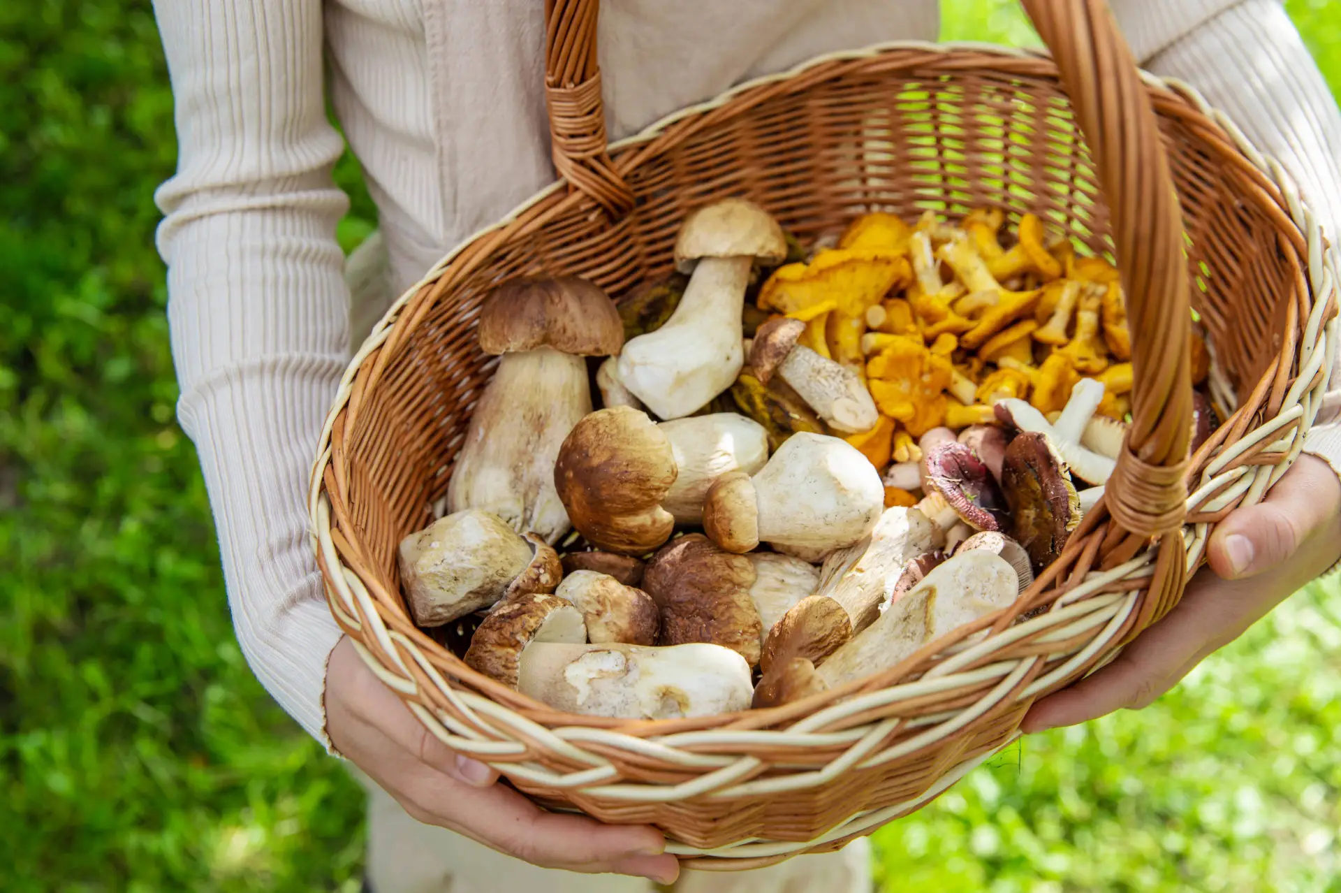 shutterstock_2807398171