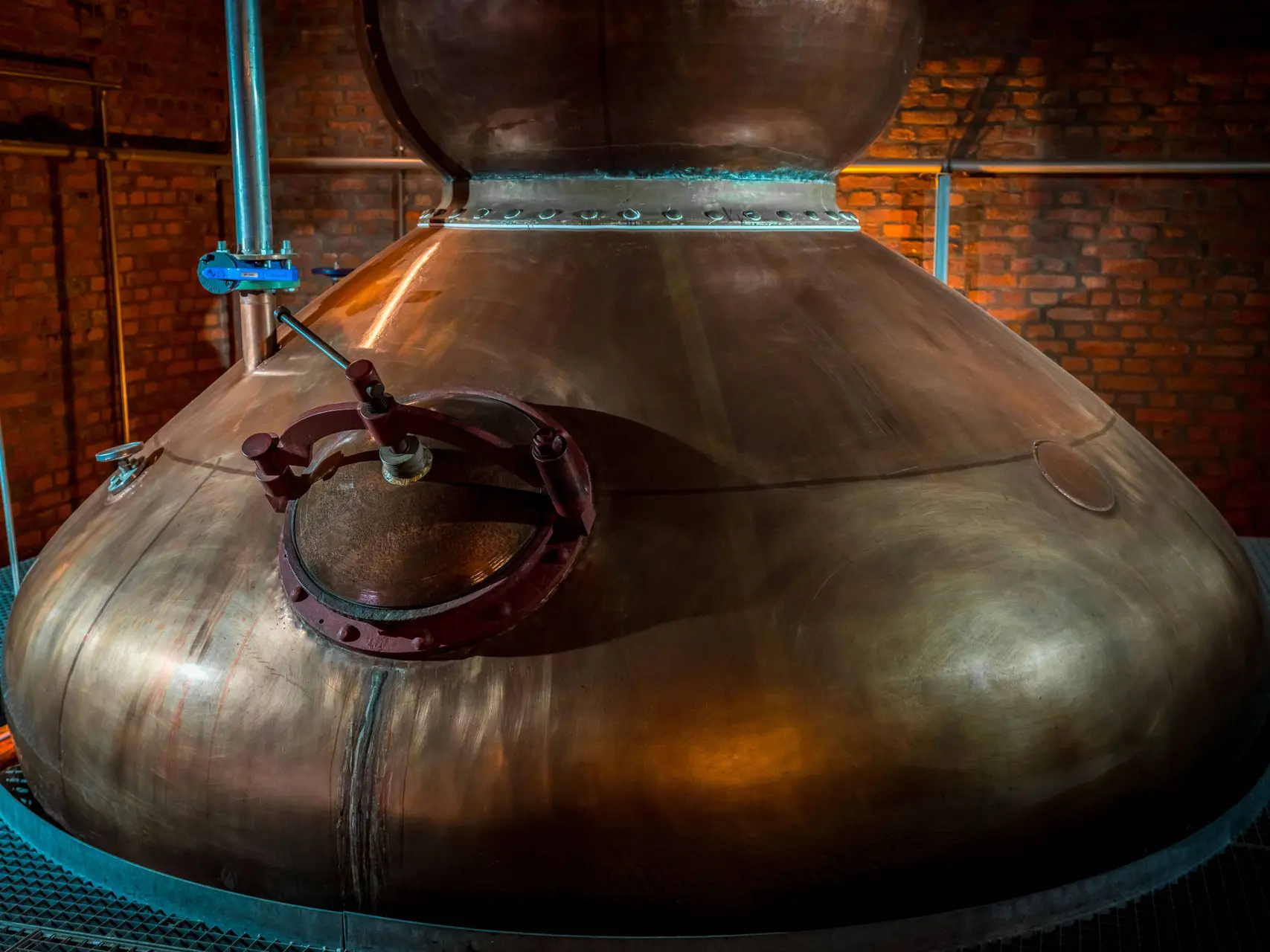 belgian owl stills