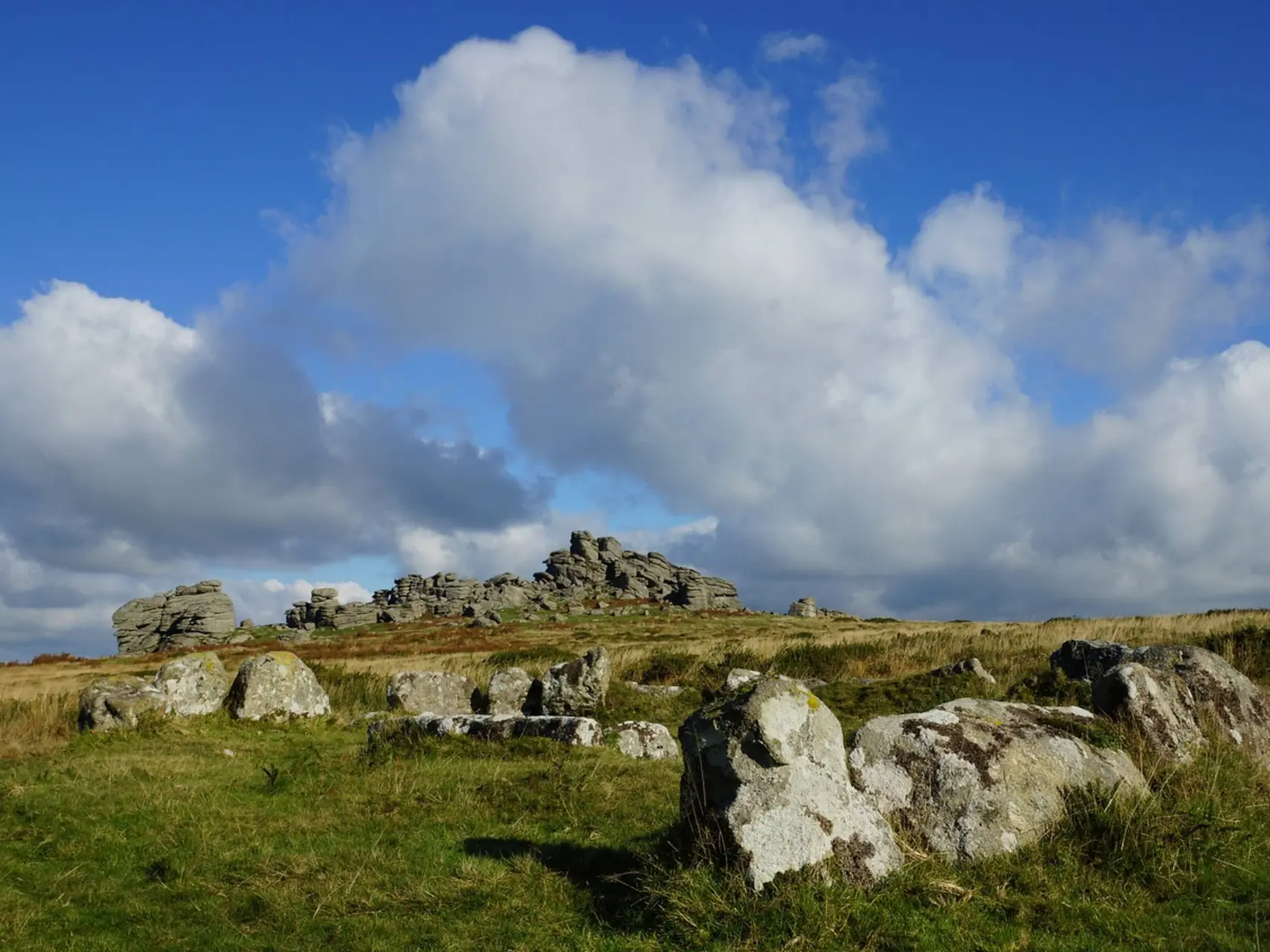 dartmoor