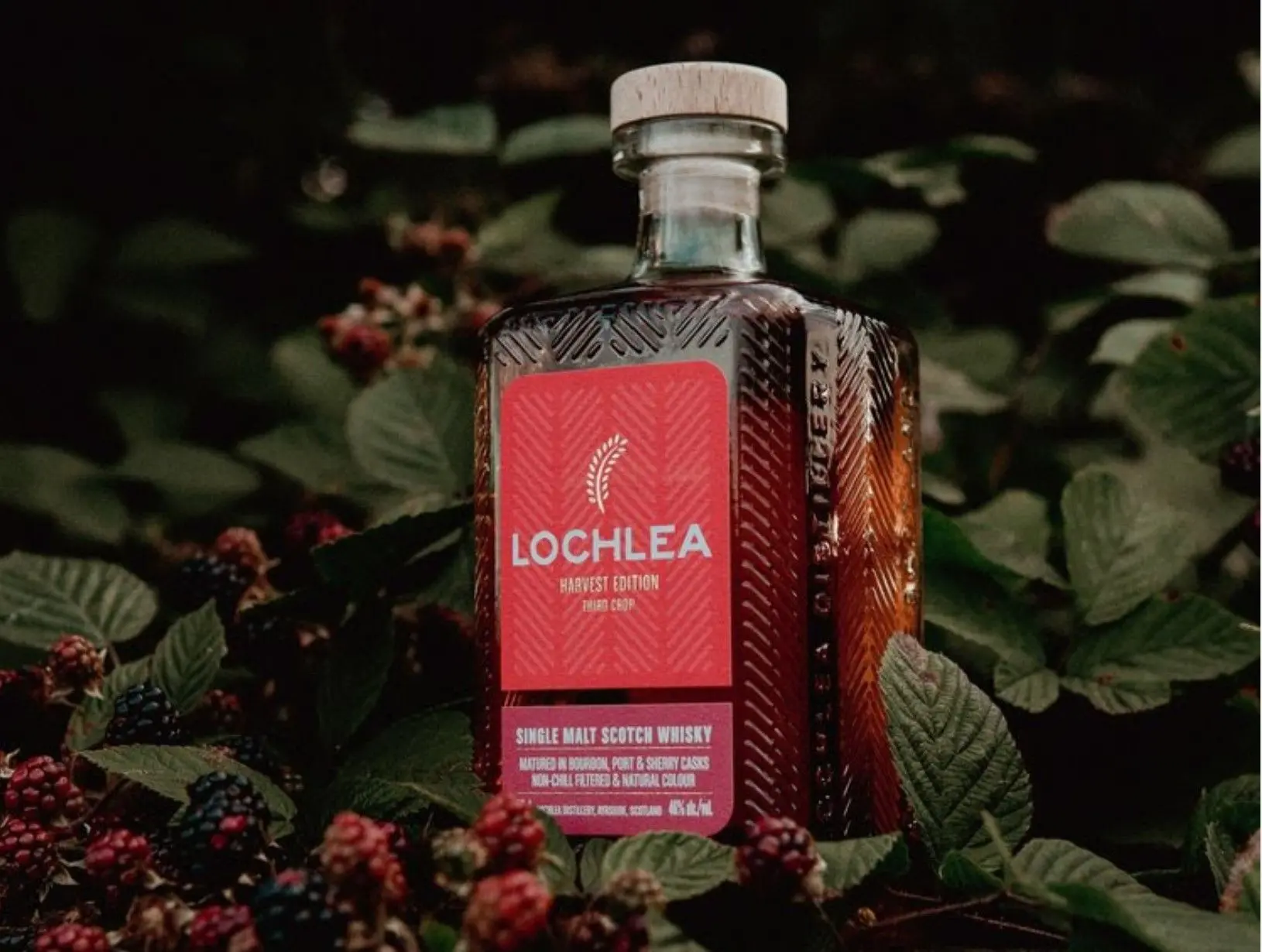 lochlea harvest edition third crop