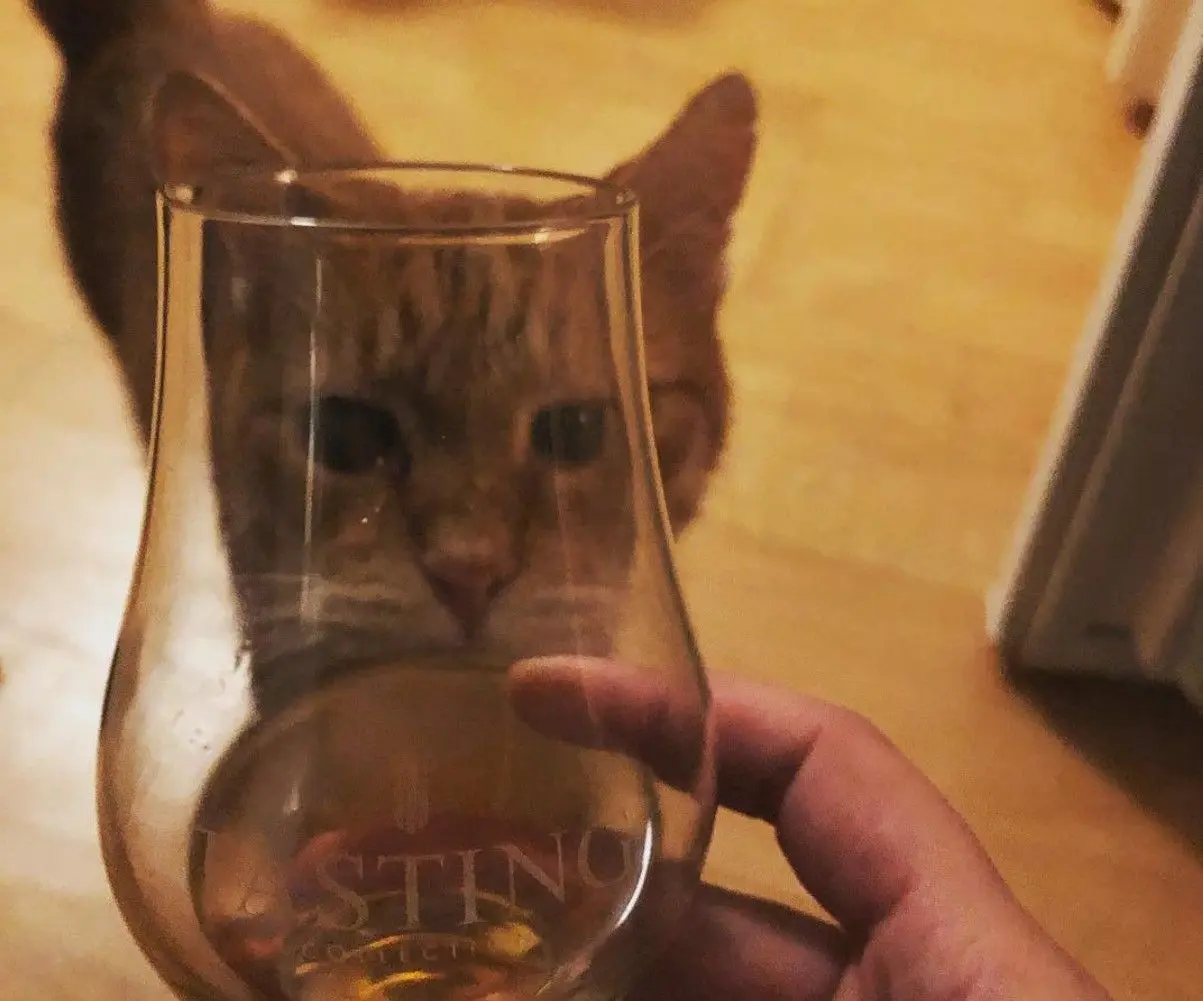 koko en whisky