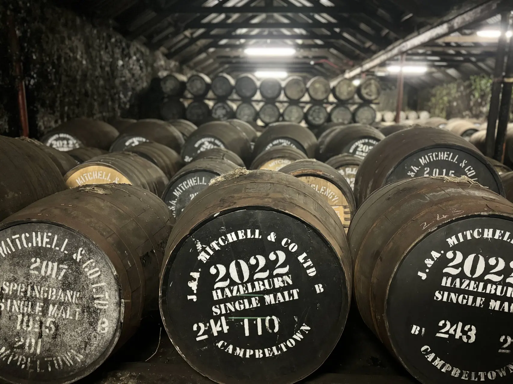 hazelburn springbank whisky warehouse