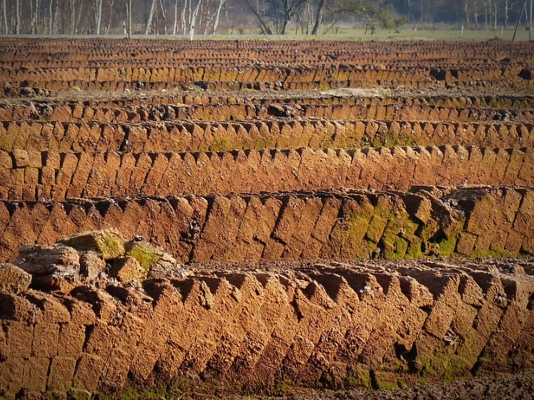 peat stacksjpg