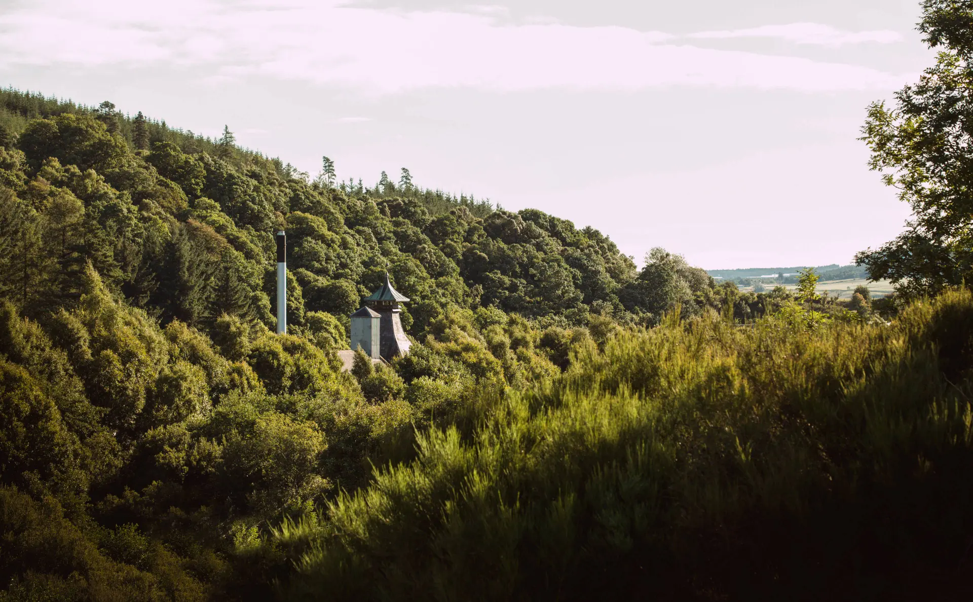 speyburn-distillery-hero-image-pagoda-through-trees