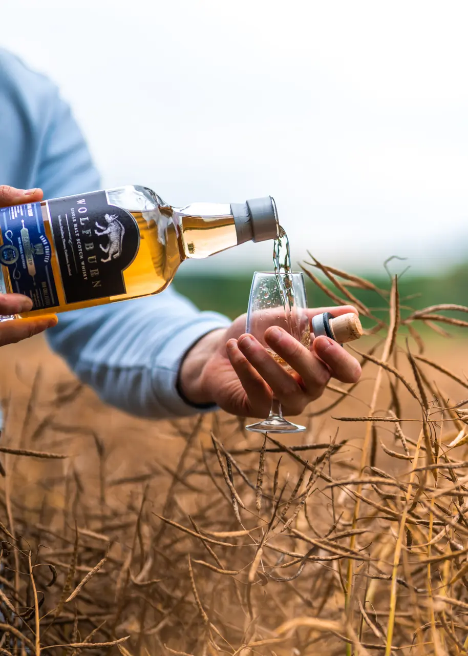 wolfburn langskip scotch single malt whisky with a tulip glass