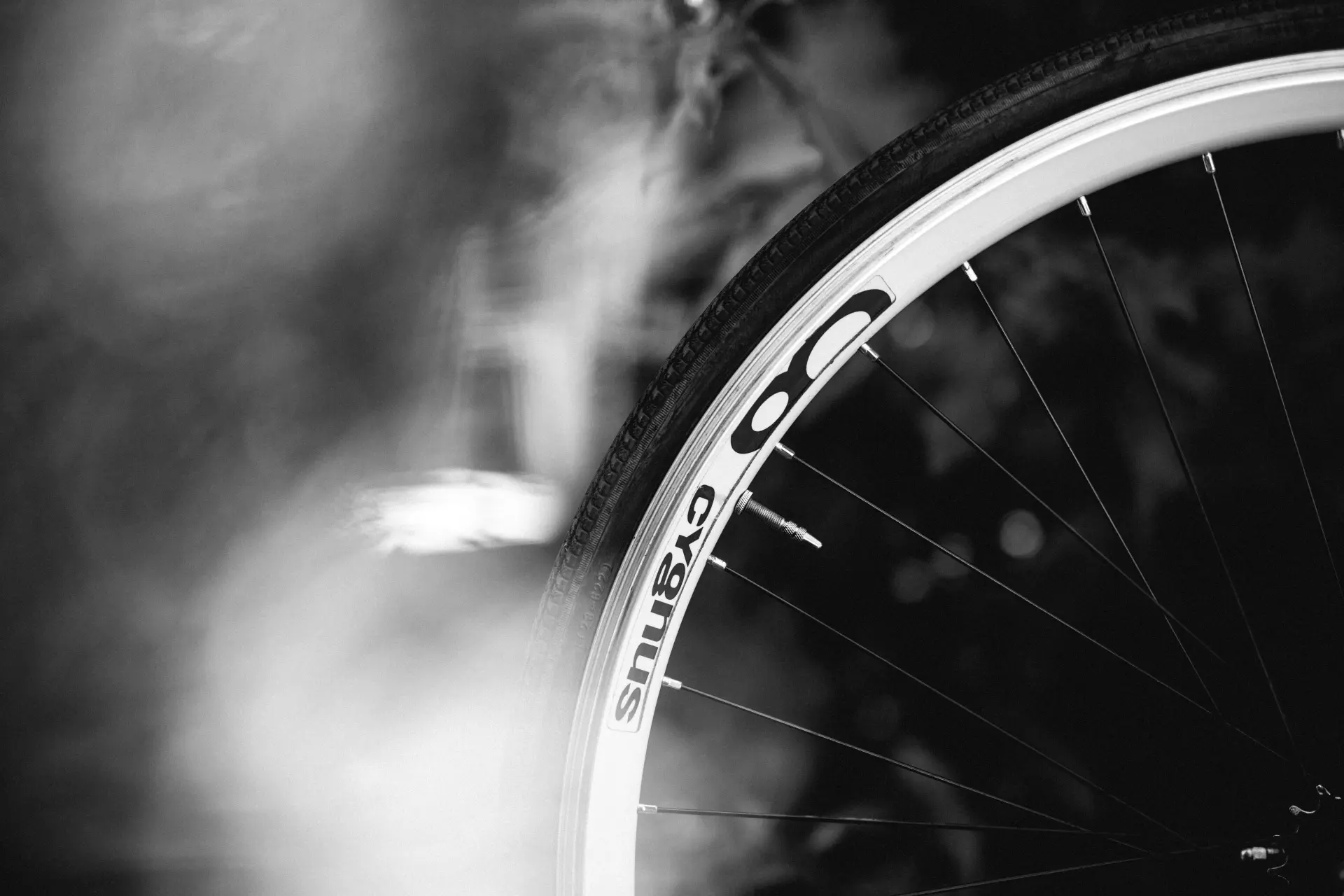 lukas-bato-gzrsfnDdZoI-unsplash