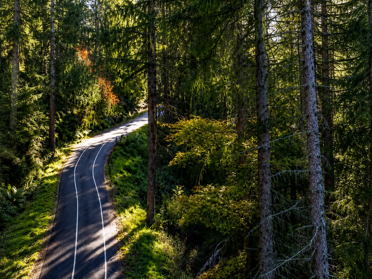 Col Du Haag