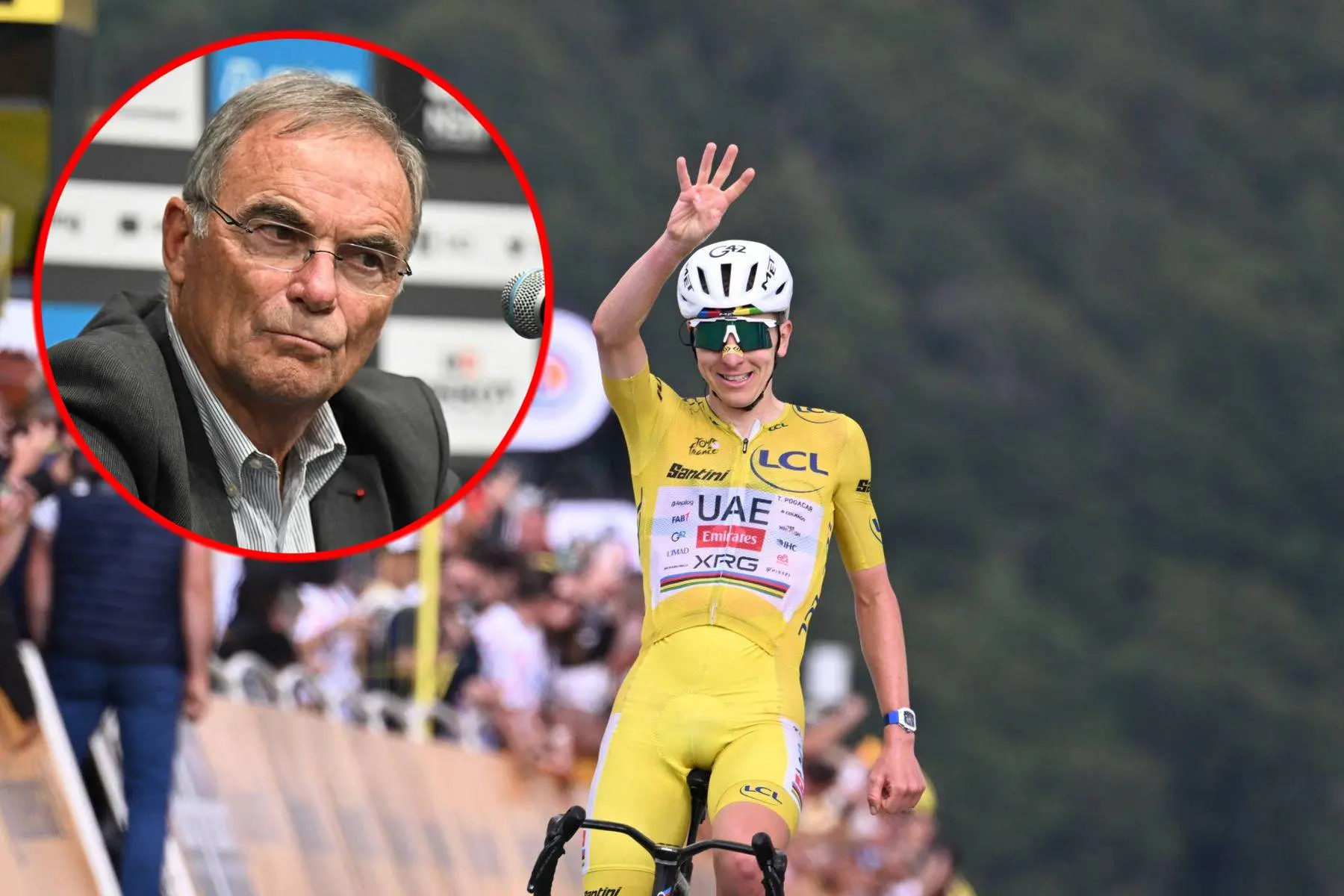 Collage_TadejPogacarBernardHinault