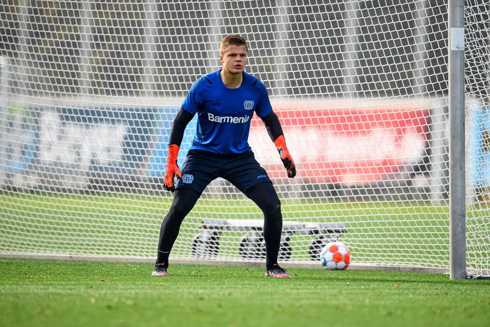 roy steur bayer leverkusen