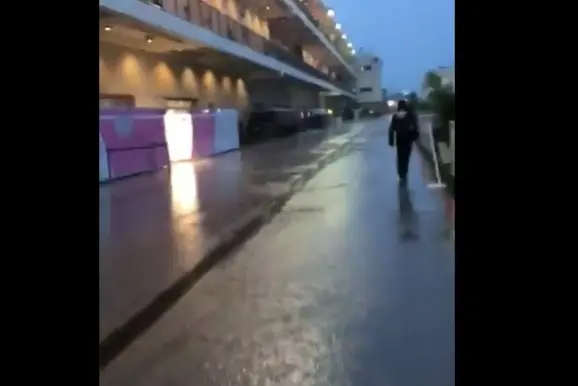 regen austinjpg