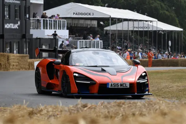 mclaren sennaJPG
