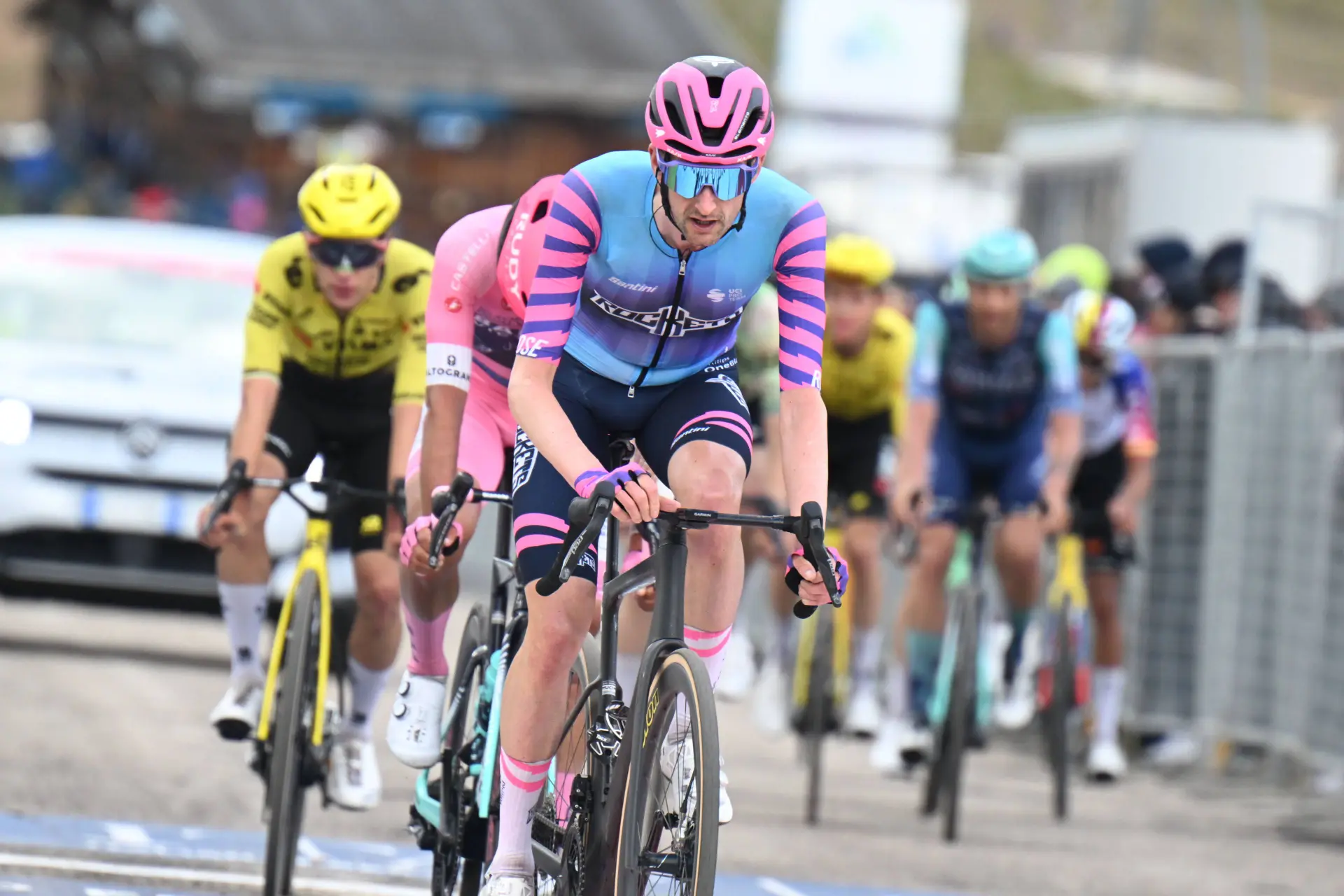 wout-poels