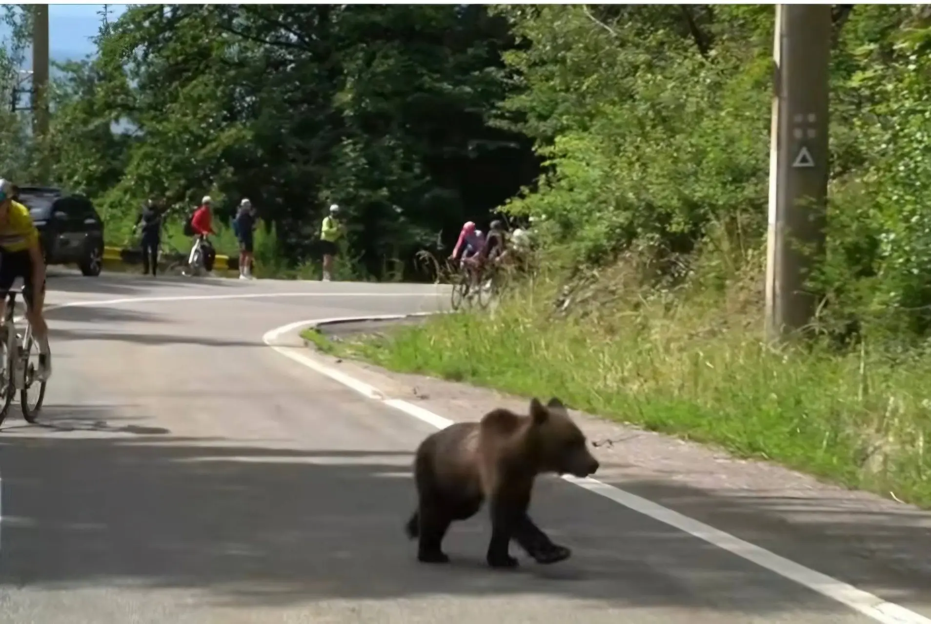 sibiu-cycling-tour-beer