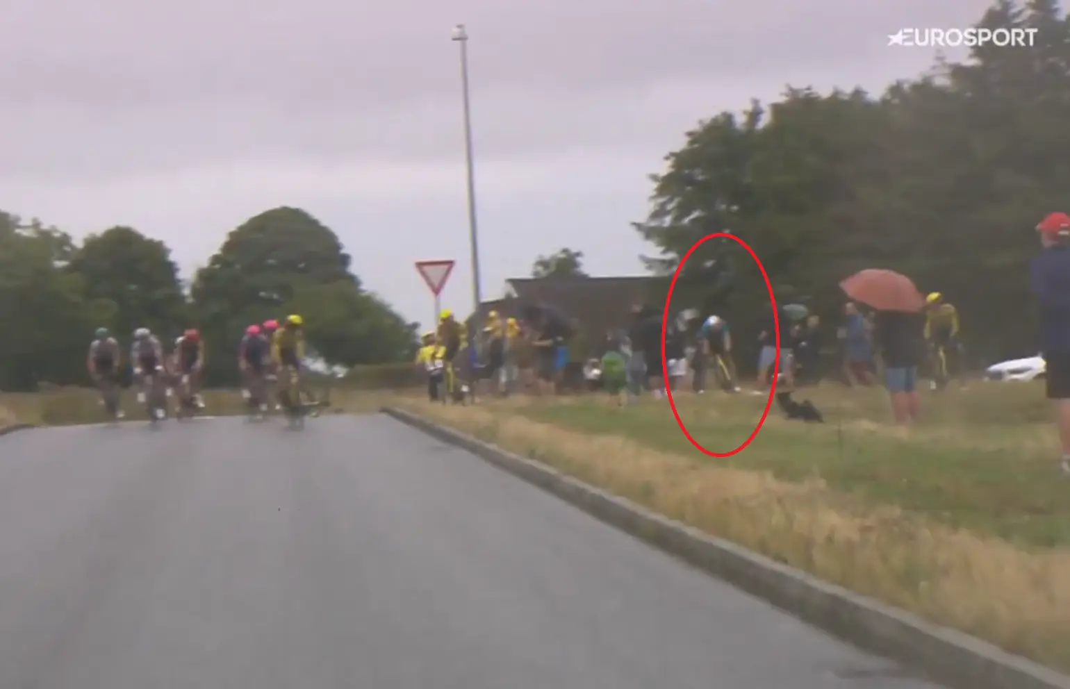 wout-van-aert