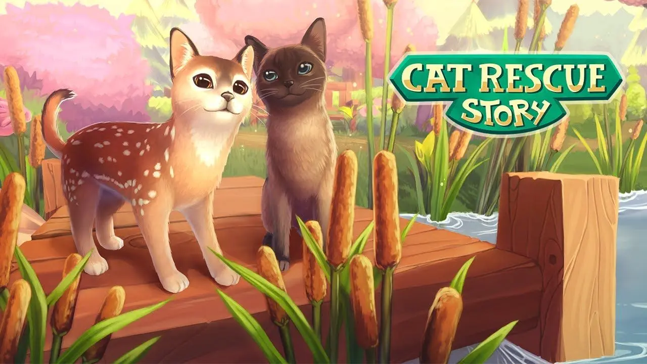 cat rescue story