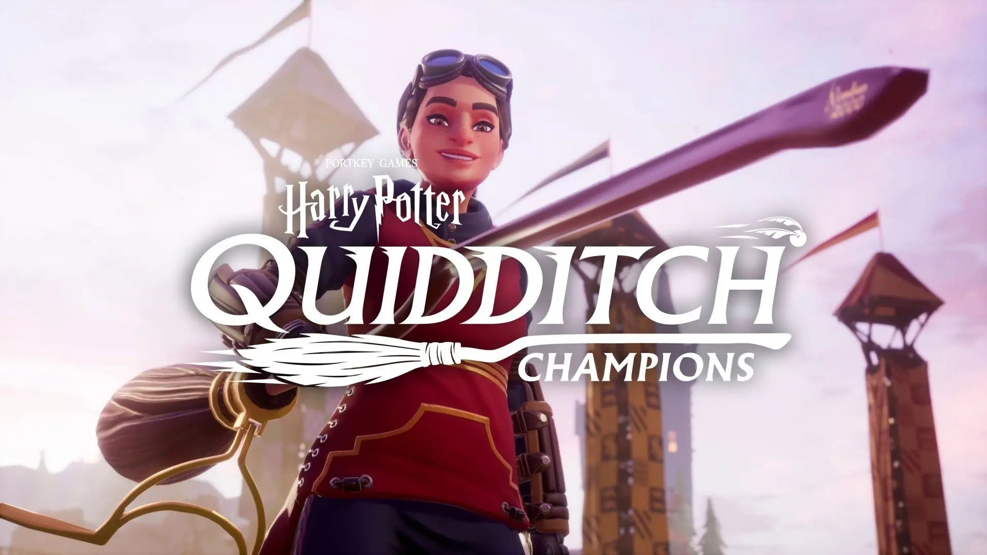 harry potter quidditch champions banner