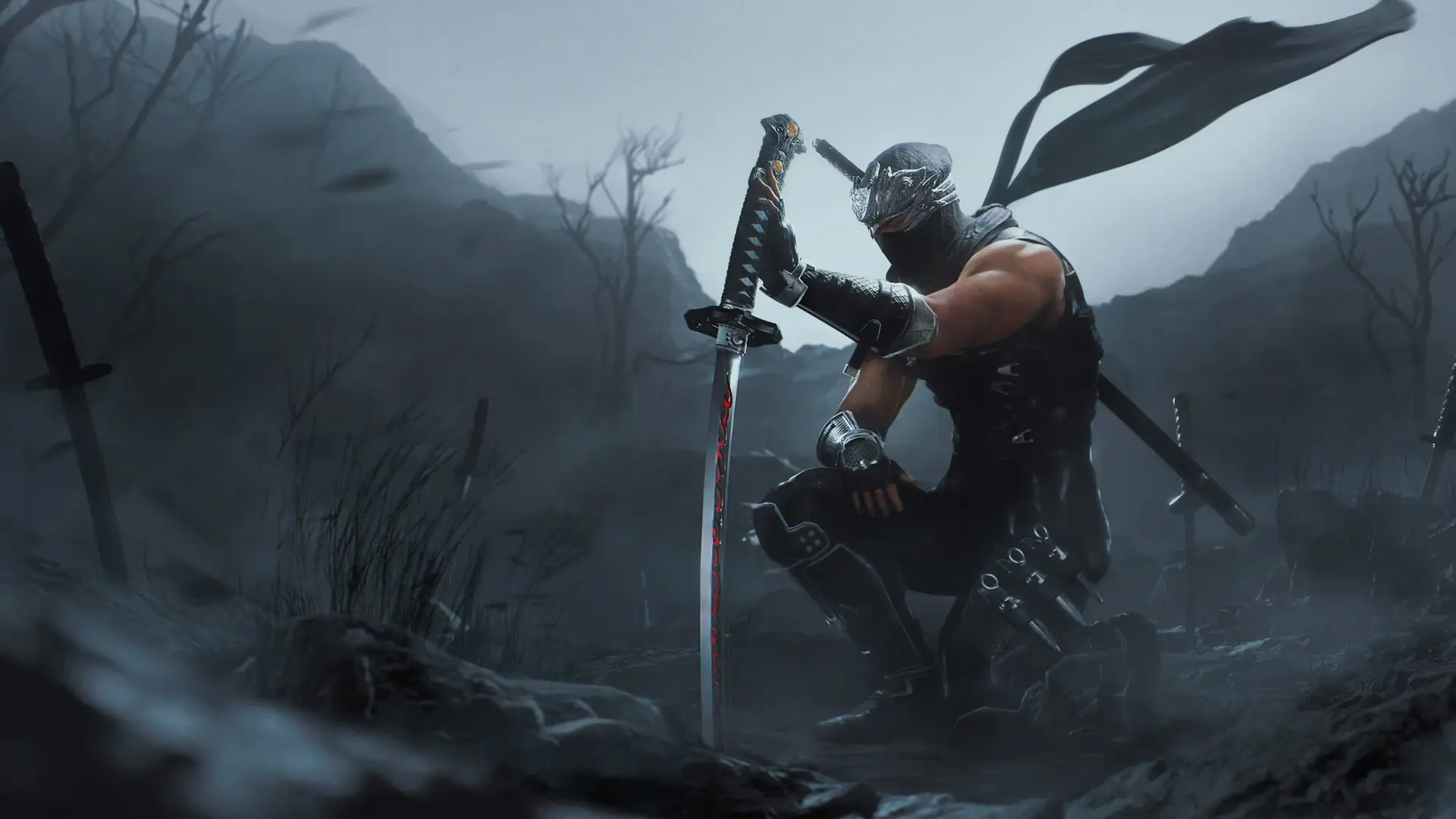ninja gaiden 2 black 1