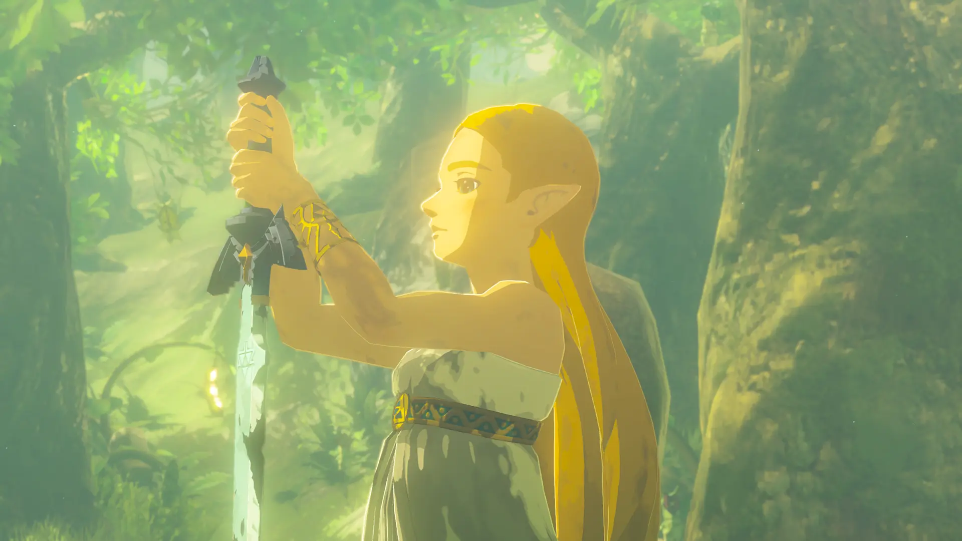 breath of the wild switch 2 edition