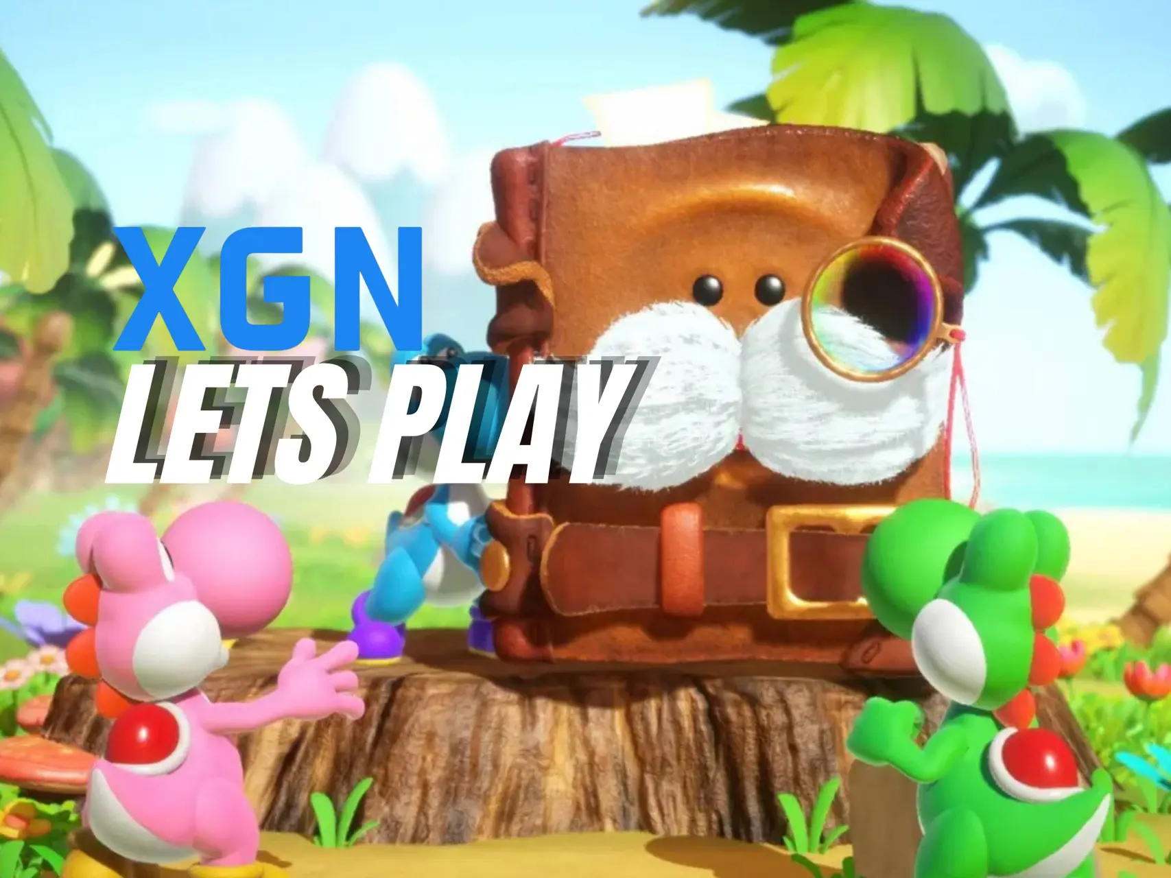 XGN Let's Play Yoshi and the Mysterious Book