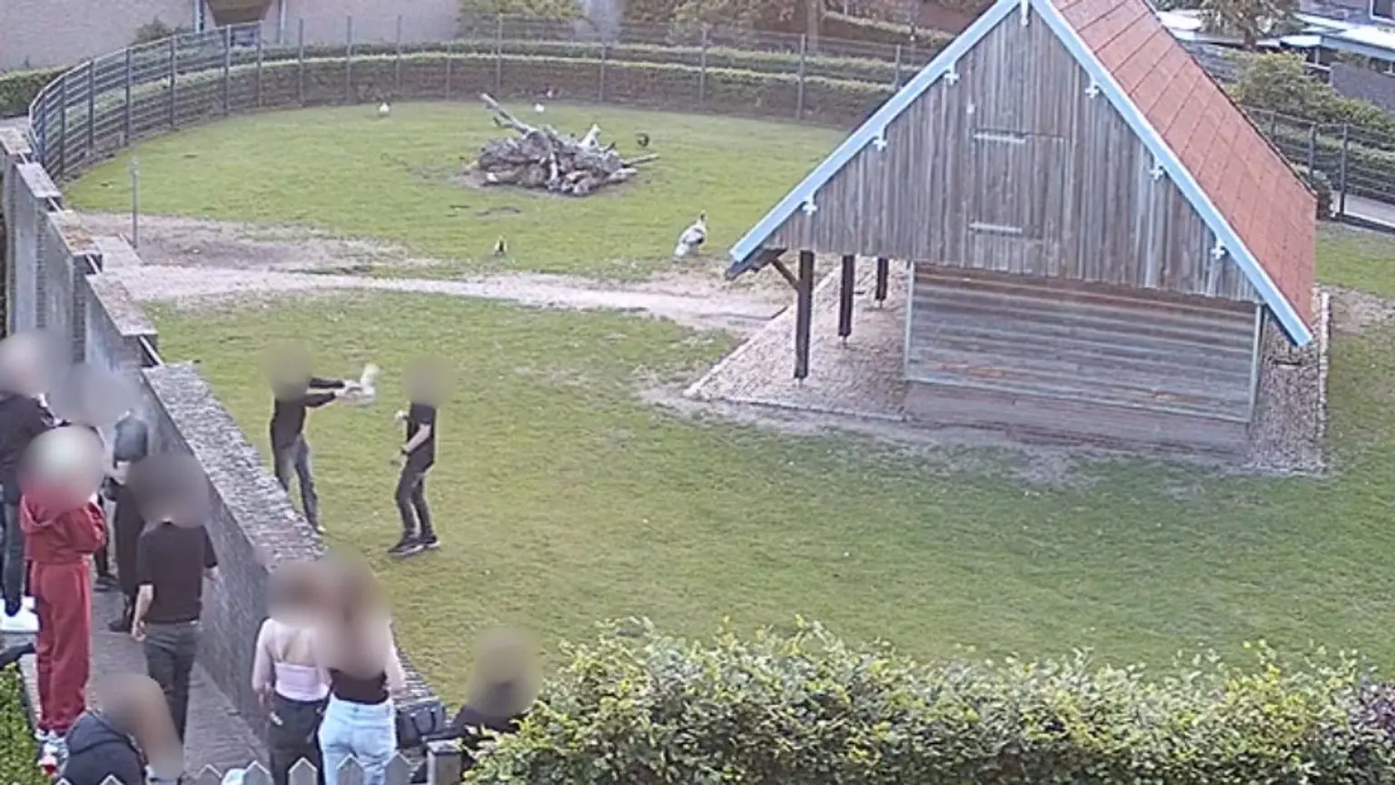 bewakingsbeelden hertenkamp mierlo