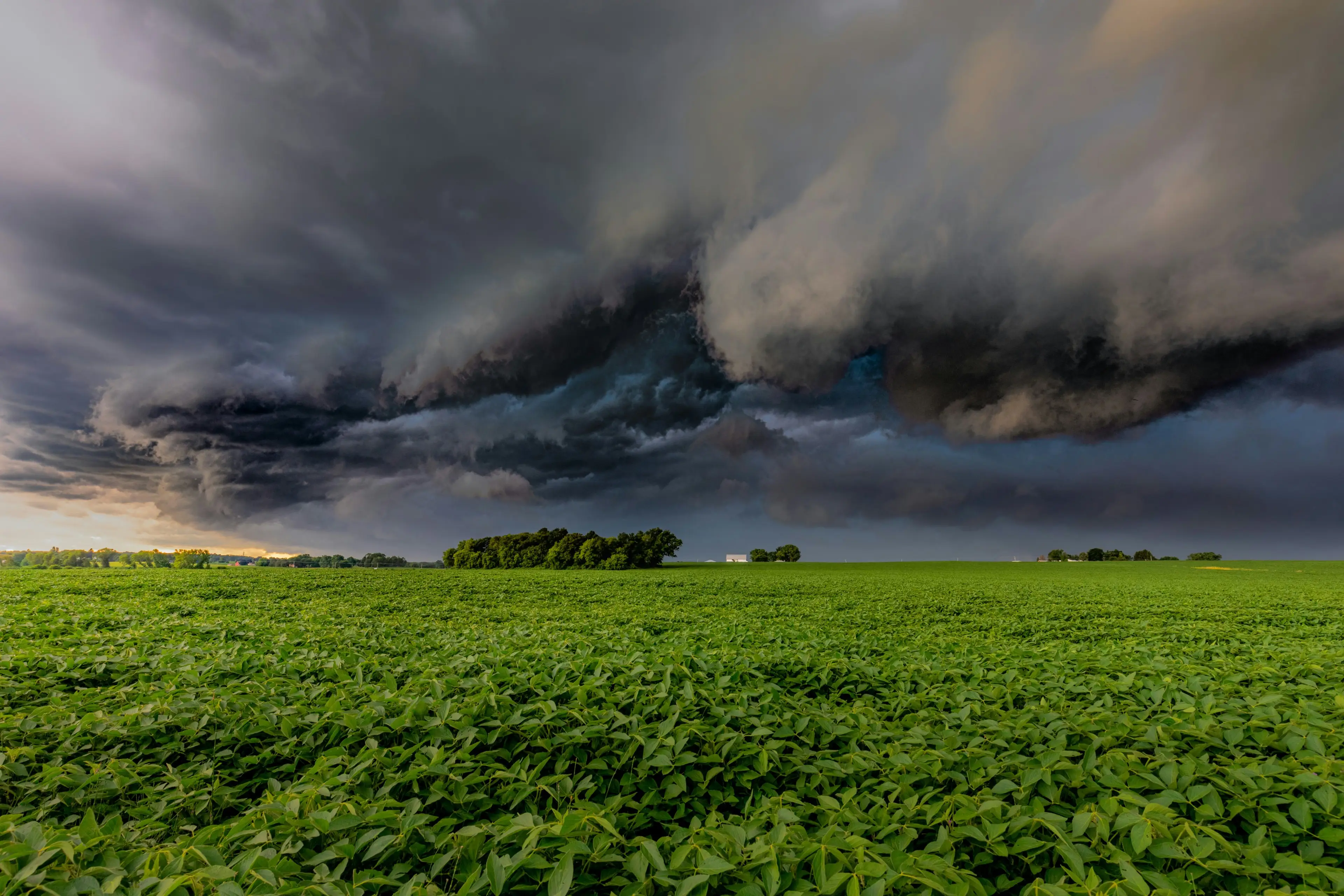 KNMI waarschuwt met code geel: hagel, onweer en harde windstoten in ...