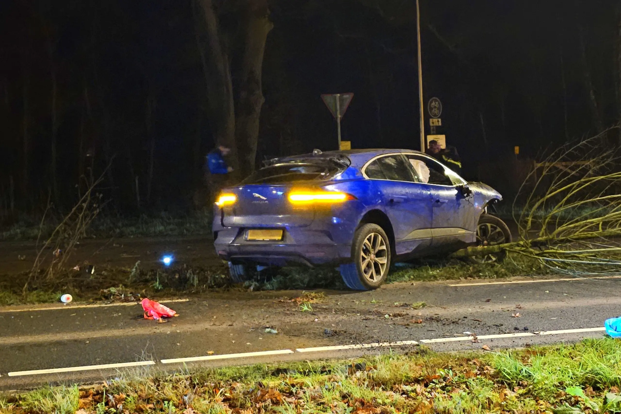 jaguar i pace tegen boom10 kopie scaled