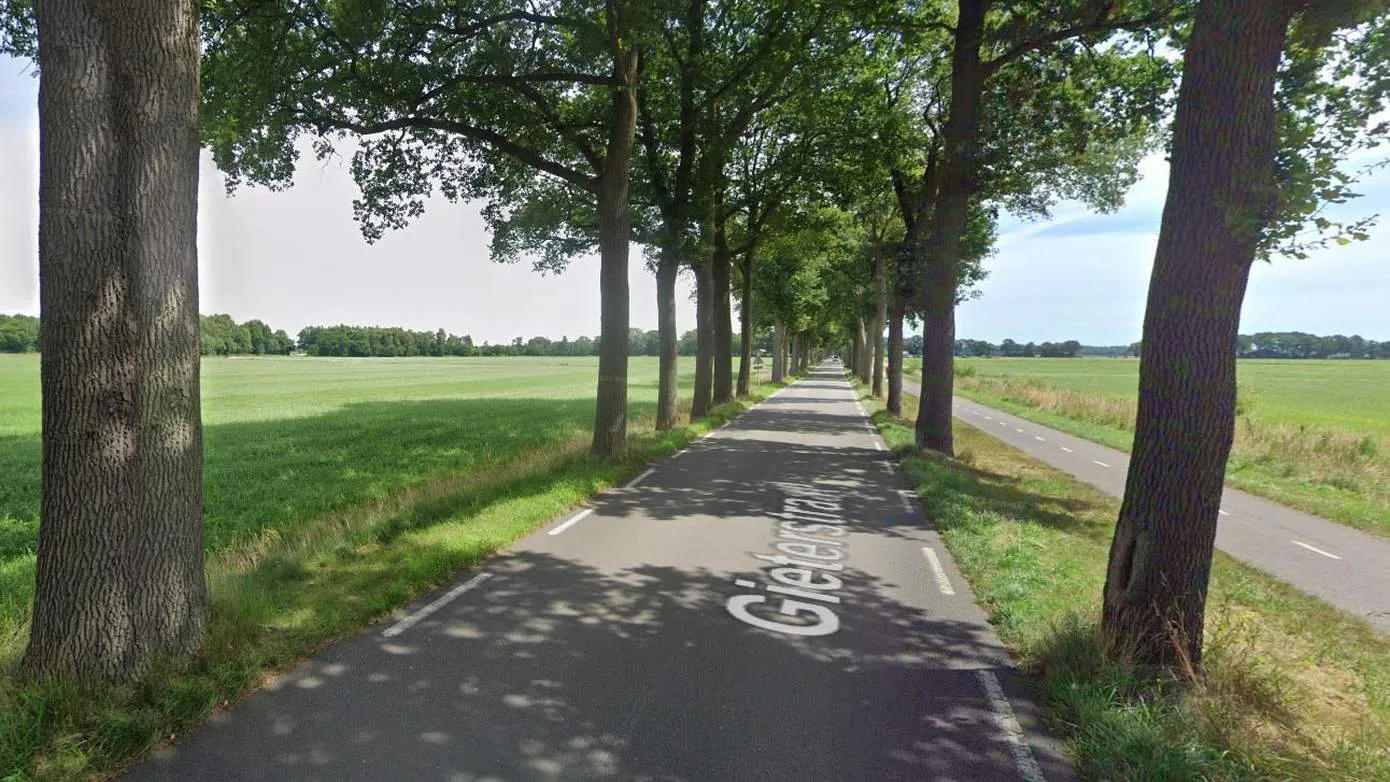 bomenrolde anderen 2