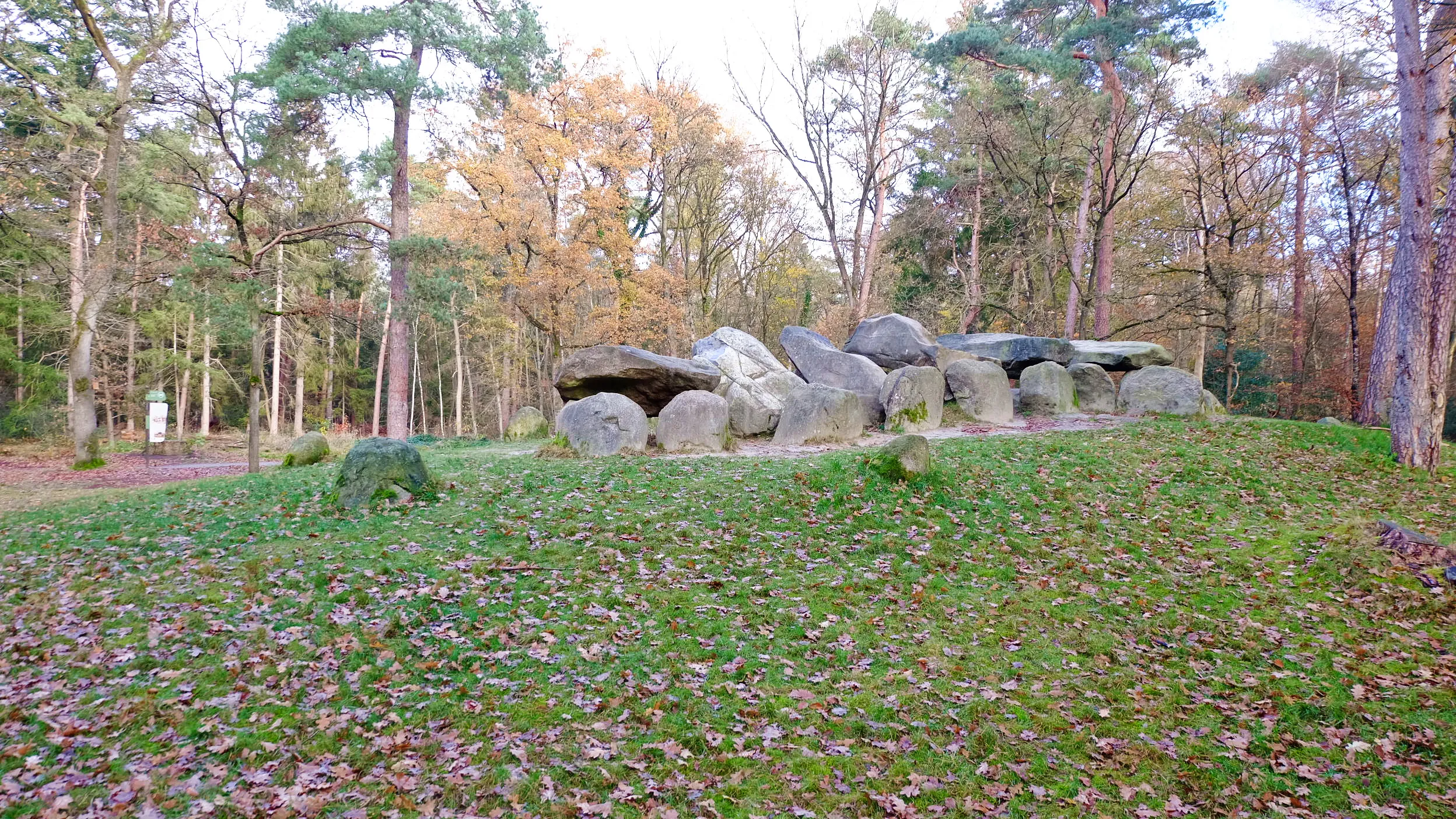 emmen hunebed d45