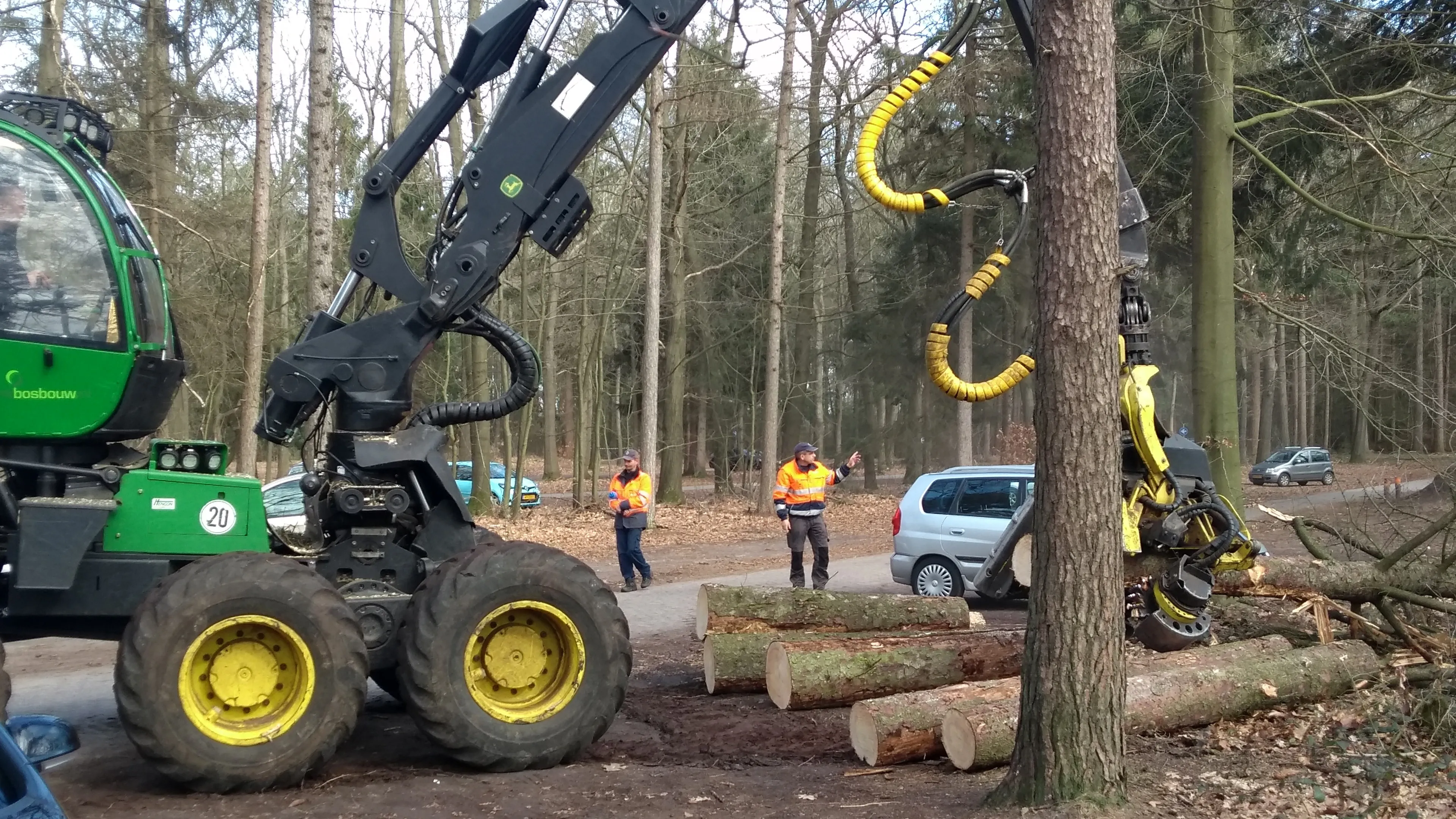 gasselterveld nijehemelriek bomenkap1
