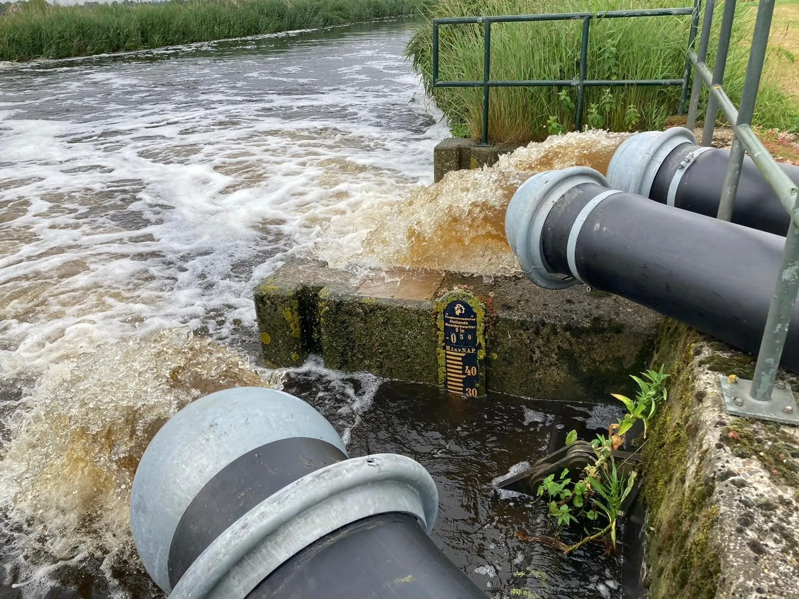 201949186 114582970857441 3763995757517839266 n