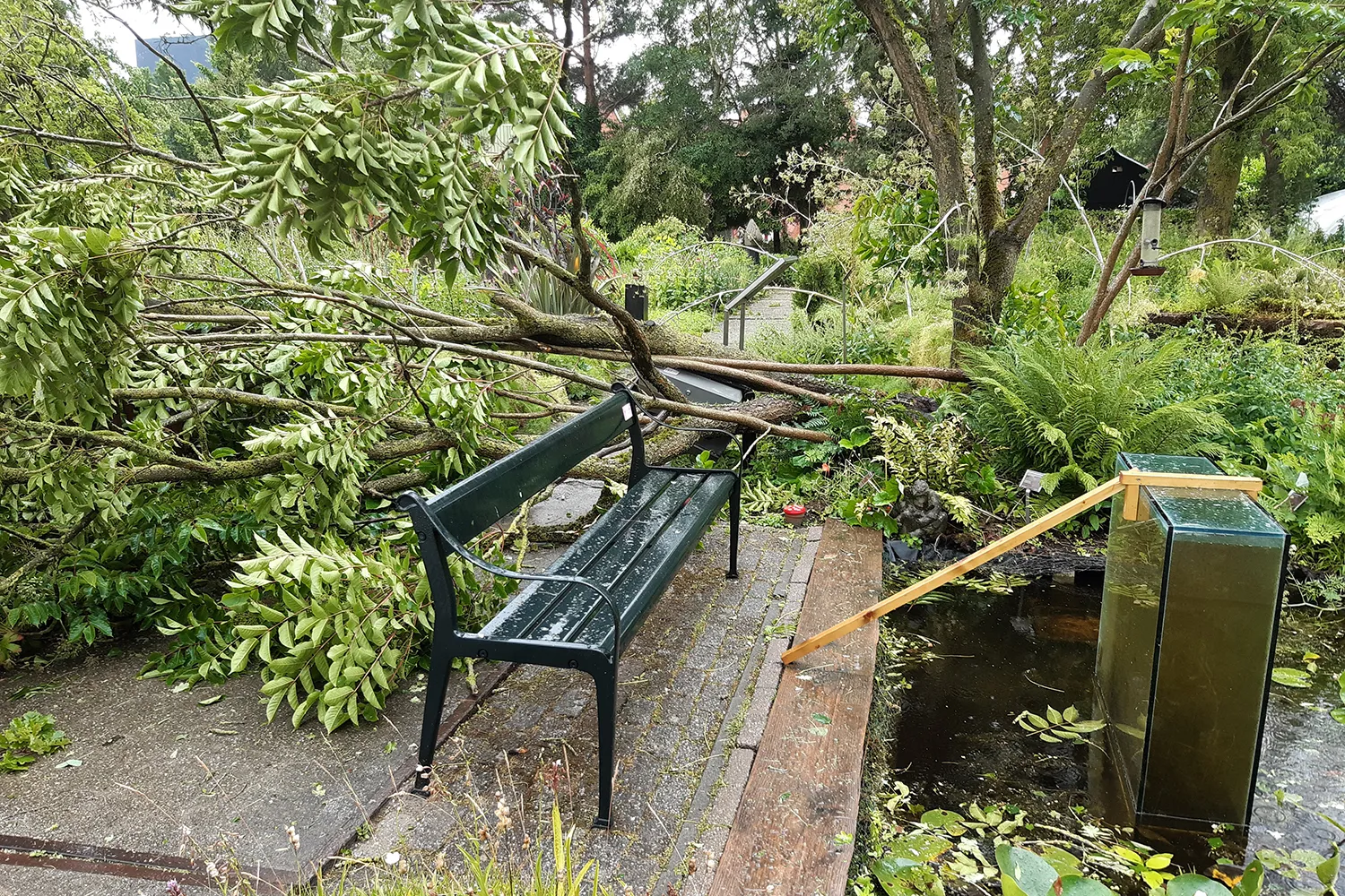 20230705 121548 kopieren