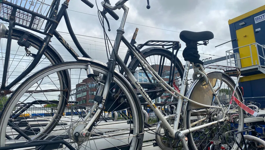 348630426 947173559821329 7195702013256940735 n kopieren 915x518 1