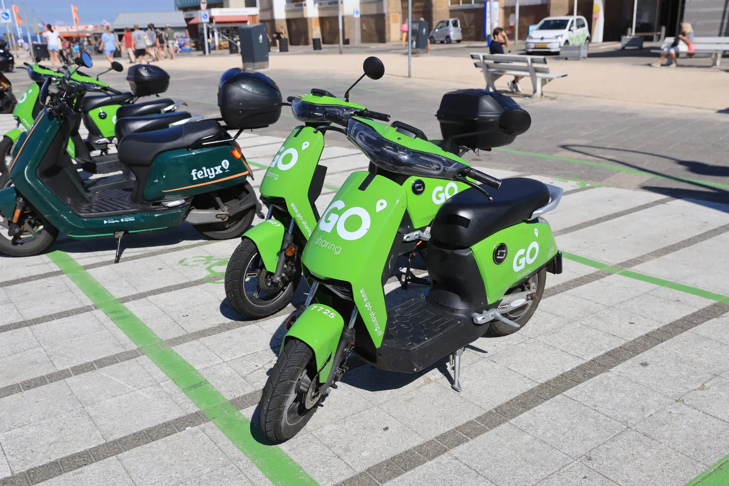 3z1a8186 go wim meijer fotografie