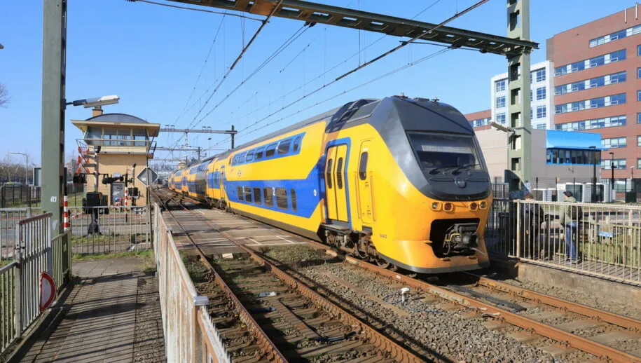 3z1a8442 915x518 1 915x518 1