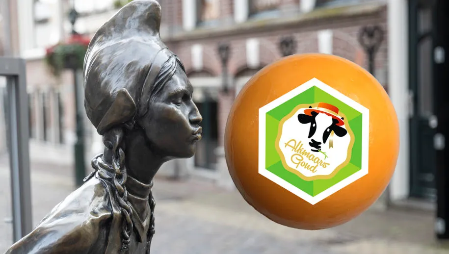 alkmaars goud wim meijer fotografie 915x518 1